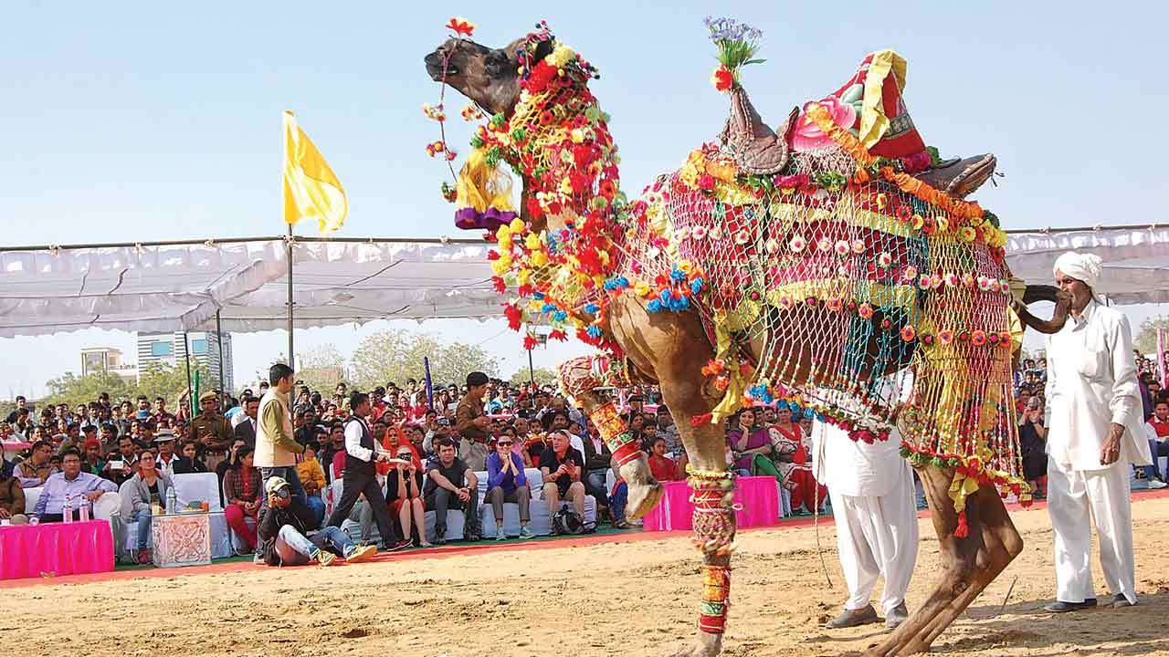 Glorious Tales: Experience the Essence of Pushkar Camel Fair 2023