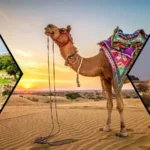 Rajasthan Tour Packages from Mumbai [Updated]