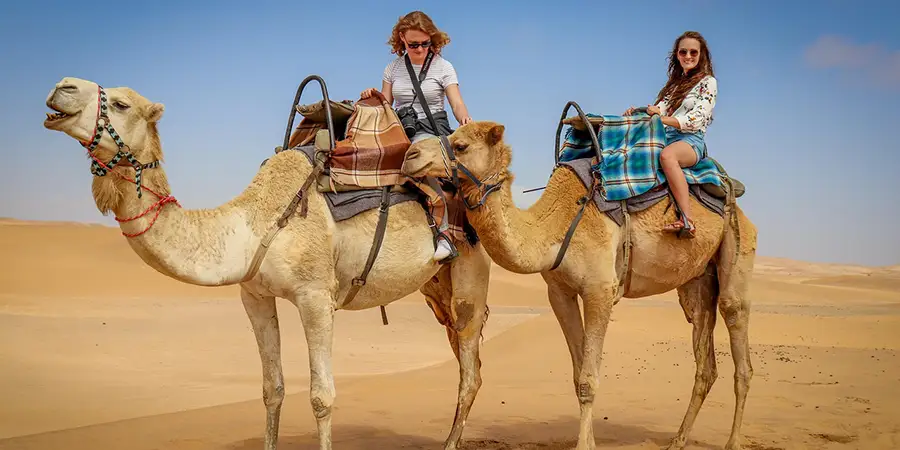 Camel Safari in Jaisalmer: An Enchanting Desert Experience
