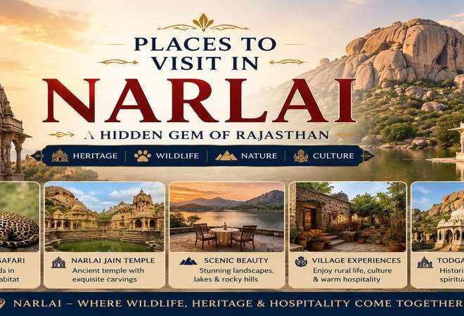 Places To Visit In Narlai: A Complete Guide
