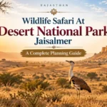 Wildlife Safari At Desert National Park Jaisalmer: A Complete Planning Guide