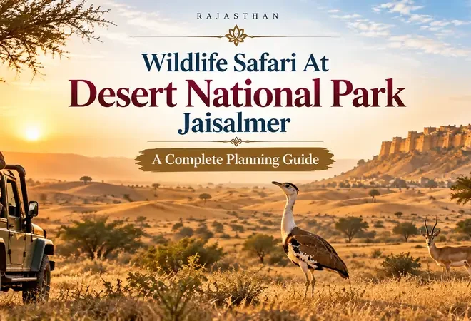 Wildlife Safari At Desert National Park Jaisalmer: A Complete Planning Guide