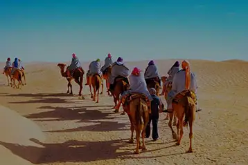 Rajasthan Desert Adventure Tour packages